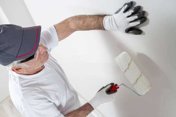 Best Crawl Space Mold Remediation  in Lakewood, NY