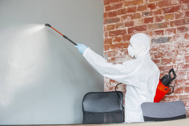 Best Post-Remediation Verification Testing  in Lakewood, NY