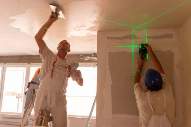 Reliable Lakewood, NY Mold Removal Solutions