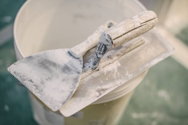 Environmental Consulting for Mold Prevention in Lakewood, NY